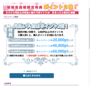 電話占いヴェルニキャンペーン内容
